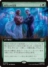 祖先との交流/Ancestral Communion (拡張アート版) 【日本語版】 [MSC-緑R]