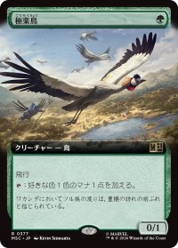極楽鳥/Birds of Paradise (拡張アート版) 【日本語版】 [MSC-緑R]