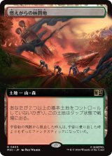 燃えがらの林間地/Cinder Glade (拡張アート版) 【日本語版】 [MSC-土地R]