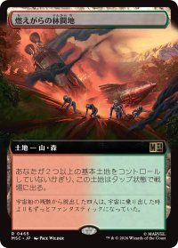 燃えがらの林間地/Cinder Glade (拡張アート版) 【日本語版】 [MSC-土地R]