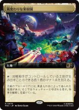 風変わりな果樹園/Exotic Orchard (拡張アート版) 【日本語版】 [MSC-土地R]