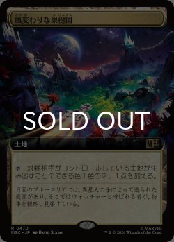 画像1: 風変わりな果樹園/Exotic Orchard (拡張アート版) 【日本語版】 [MSC-土地R]