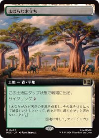 まばらな木立ち/Scattered Groves (拡張アート版) 【日本語版】 [MSC-土地R]