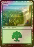 [FOIL] 森/Forest No.295 【英語版】 [MSH-土地C]