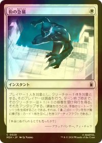 [FOIL] 豹の急襲/Panther Pounce 【日本語版】 [MSH-白C]