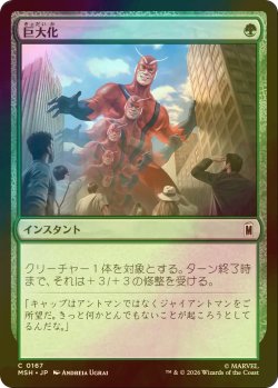 画像1: [FOIL] 巨大化/Giant Growth 【日本語版】 [MSH-緑C]