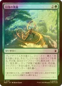 [FOIL] 回復の奥義/Restorative Technique 【日本語版】 [MSH-緑C]
