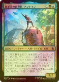 [FOIL] 蟻軍団の指揮官、アントマン/Ant-Man, Colony Commander 【日本語版】 [MSH-金U]