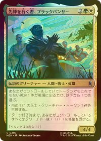 [FOIL] 先陣を行く者、ブラックパンサー/Black Panther, Vanguard 【日本語版】 [MSH-金U]