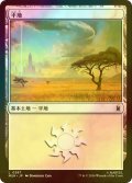 [FOIL] 平地/Plains No.287 【日本語版】 [MSH-土地C]