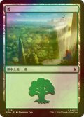 [FOIL] 森/Forest No.295 【日本語版】 [MSH-土地C]