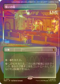 [FOIL] 集いの場/Gathering Place (全面アート版) 【日本語版】 [MSH-土地R]
