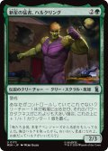 新星の猛者、ハルクリング/Hulkling, Burgeoning Bruiser 【日本語版】 [MSH-緑U]