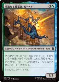 博識なる軽業師、ビースト/Beast, Erudite Aerialist 【日本語版】 [MSH-金U]