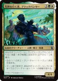 先陣を行く者、ブラックパンサー/Black Panther, Vanguard 【日本語版】 [MSH-金U]