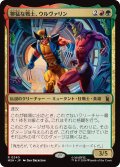 獰猛な戦士、ウルヴァリン/Wolverine, Fierce Fighter 【日本語版】 [MSH-金R]