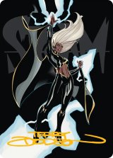 ウィンドライダー、ストーム/Storm, Windrider No.030 (箔押し版) 【日本語】 [MSH-アート]