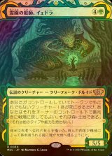 [FOIL] 霊園の庭師、イェドラ/Yedora, Grave Gardener (海外産ブースター版) 【日本語版】 [MUL-緑R]