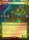 [FOIL] 霊園の庭師、イェドラ/Yedora, Grave Gardener ● (日本産ブースター版) 【日本語版】 [MUL-緑R]