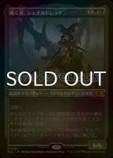 [FOIL] 囁く者、シェオルドレッド/Sheoldred, Whispering One (エッチング仕様・海外産ブースター版) 【日本語版】 [MUL-黒MR]