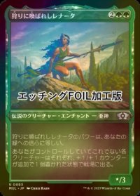 [FOIL] 狩りに喚ばれしレナータ/Renata, Called to the Hunt (エッチング仕様) 【日本語版】 [MUL-緑U]