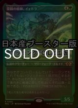 [FOIL] 霊園の庭師、イェドラ/Yedora, Grave Gardener ● (エッチング仕様・日本産ブースター版) 【日本語版】 [MUL-緑R]