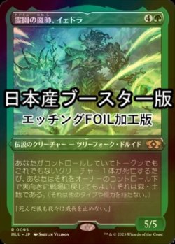 画像1: [FOIL] 霊園の庭師、イェドラ/Yedora, Grave Gardener ● (エッチング仕様・日本産ブースター版) 【日本語版】 [MUL-緑R]