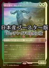 [FOIL] 孤児護り、カヒーラ/Kaheera, the Orphanguard ● (エッチング仕様・日本産ブースター版) 【日本語版】 [MUL-金R]