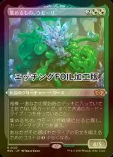 [FOIL] 集めるもの、ウモーリ/Umori, the Collector (エッチング仕様・海外産ブースター版) 【日本語版】 [MUL-金R]