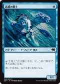 高潮の戦士/Tidal Warrior 【日本語版】 [MVG-青C]