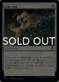 流刑への道/Path to Exile 【日本語版】 [NCC-白U]