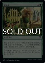 遥か見/Farseek 【日本語版】 [NCC-緑C]