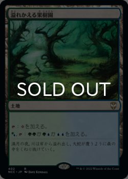 画像1: 溢れかえる果樹園/Flooded Grove 【日本語版】 [NCC-土地R]