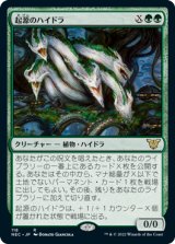 起源のハイドラ/Genesis Hydra 【日本語版】 [NEC-緑R]