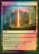 [FOIL] 血溜まりの洞窟/Bloodfell Caves 【英語版】 [NEO-土地C]