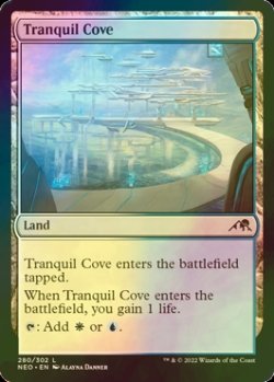 画像1: [FOIL] 平穏な入り江/Tranquil Cove 【英語版】 [NEO-土地C]