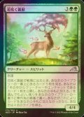 [FOIL] 花咲く跳獣/Blossom Prancer 【日本語版】 [NEO-緑U]