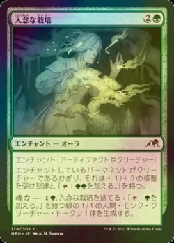 画像1: [FOIL] 入念な栽培/Careful Cultivation 【日本語版】 [NEO-緑C]