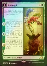 [FOIL] 麒麟の教え/Teachings of the Kirin 【日本語版】 [NEO-緑R]