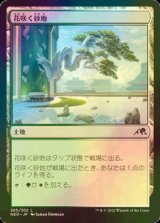 [FOIL] 花咲く砂地/Blossoming Sands 【日本語版】 [NEO-土地C]