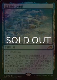 [FOIL] 天上都市、大田原/Otawara, Soaring City 【日本語版】 [NEO-土地R]