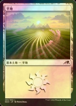 画像1: [FOIL] 平地/Plains No.283 【日本語版】 [NEO-土地C]