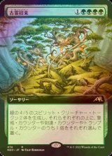 [FOIL] 古霊招来/Invoke the Ancients (拡張アート版) 【日本語版】 [NEO-緑R]