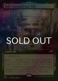 [FOIL] 見捨てられたぬかるみ、竹沼/Takenuma, Abandoned Mire (拡張アート版) 【日本語版】 [NEO-土地R]
