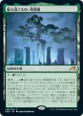 耐え抜くもの、母聖樹/Boseiju, Who Endures (NEO/土地R/日/通常/NM) ※詳細要確認
