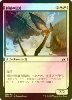 画像1: [FOIL] 探検の猛禽/Expedition Raptor 【日本語版】 [OGW-白C]