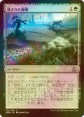 [FOIL] 残された廃墟/Ruin in Their Wake 【日本語版】 [OGW-緑U]