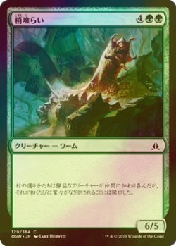 画像1: [FOIL] 梢喰らい/Canopy Gorger 【日本語版】 [OGW-緑C]