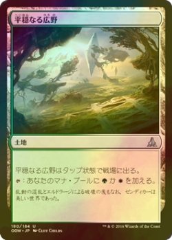 画像1: [FOIL] 平穏なる広野/Tranquil Expanse 【日本語版】 [OGW-土地U]