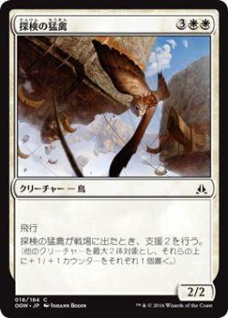 画像1: 探検の猛禽/Expedition Raptor 【日本語版】 [OGW-白C]